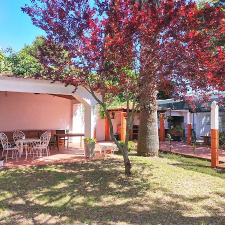 Botanique Guesthouse 卡斯凯什 外观 照片