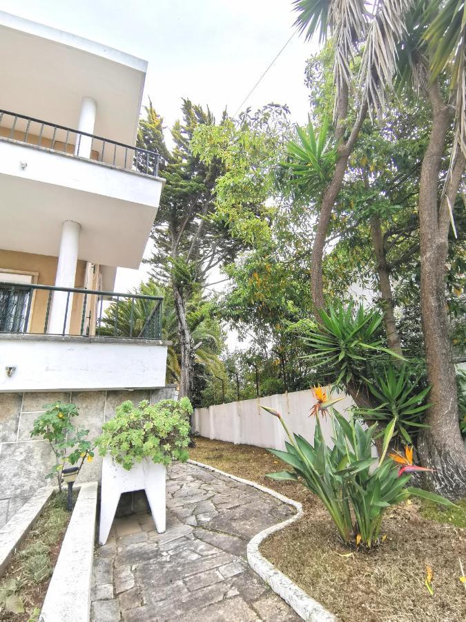 Botanique Guesthouse 卡斯凯什 外观 照片