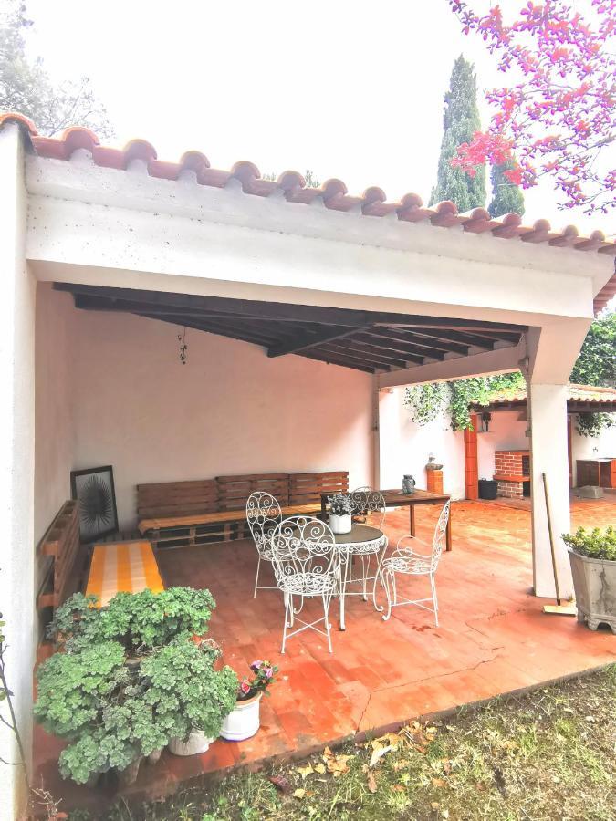 Botanique Guesthouse 卡斯凯什 外观 照片