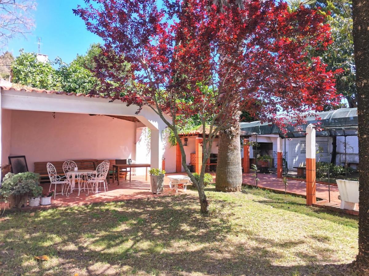 Botanique Guesthouse 卡斯凯什 外观 照片