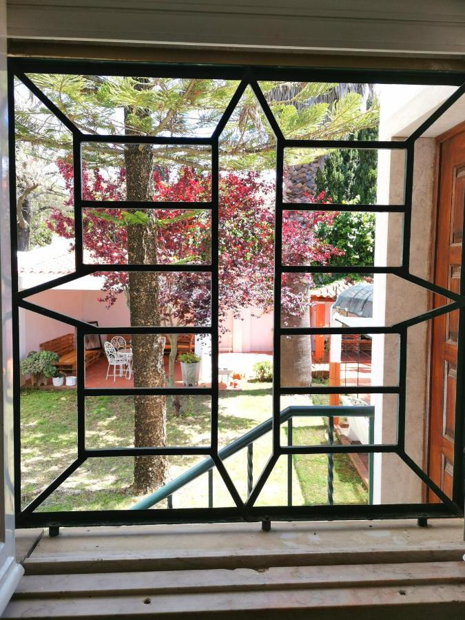 Botanique Guesthouse 卡斯凯什 外观 照片